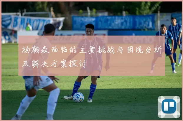 杨瀚森面临的主要挑战与困境分析及解决方案探讨